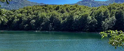 Biogradska gora nature park