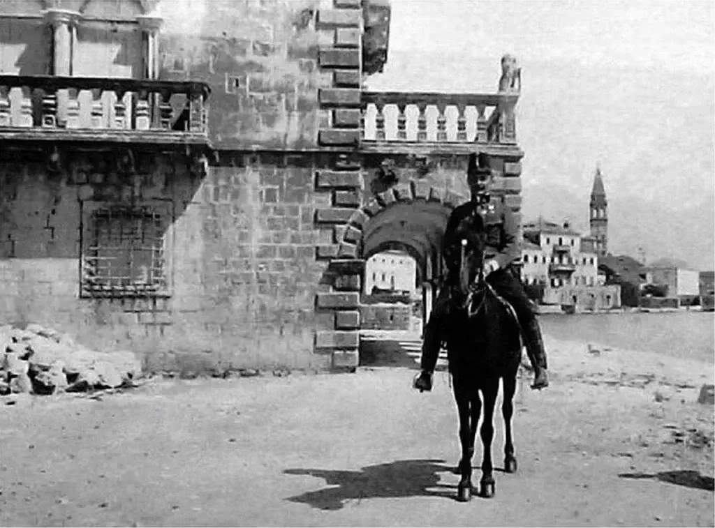 Дворец Буйовичей австрийская открытка